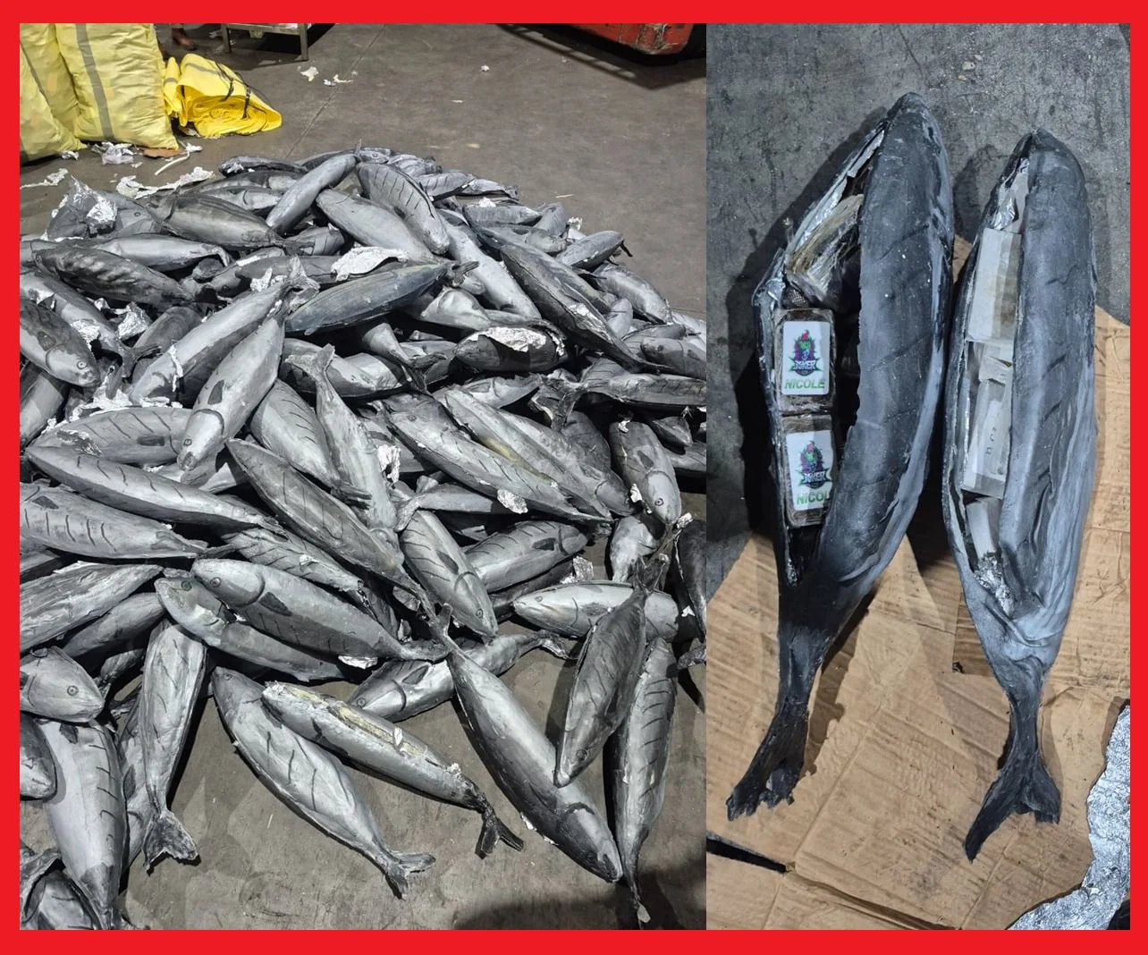 Inside fish models: 3.9 tons of cannabis resin thwarted at Tangier Med
