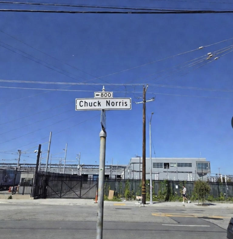 Campaign kicks off to rename SF’s Cesar Chavez Street after Chuck Norris