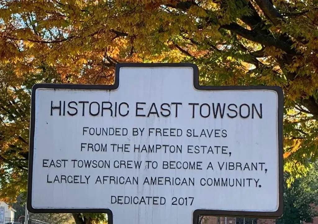 A historic Black community in Maryland is fighting to protect its last wetlands from development<br><br>