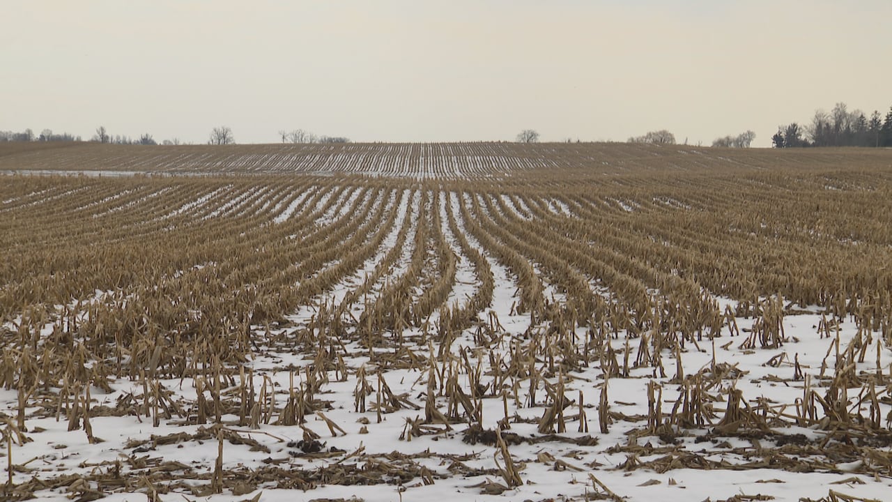 Pickering council approves controversial outline to develop rural lands ...