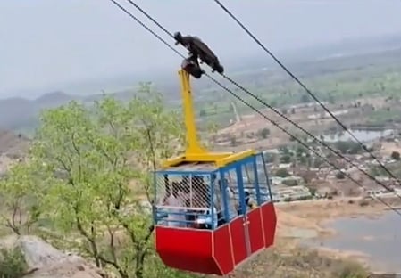 Woman killed, seven injured as ropeway trolley crashes in Chhattisgarh ...