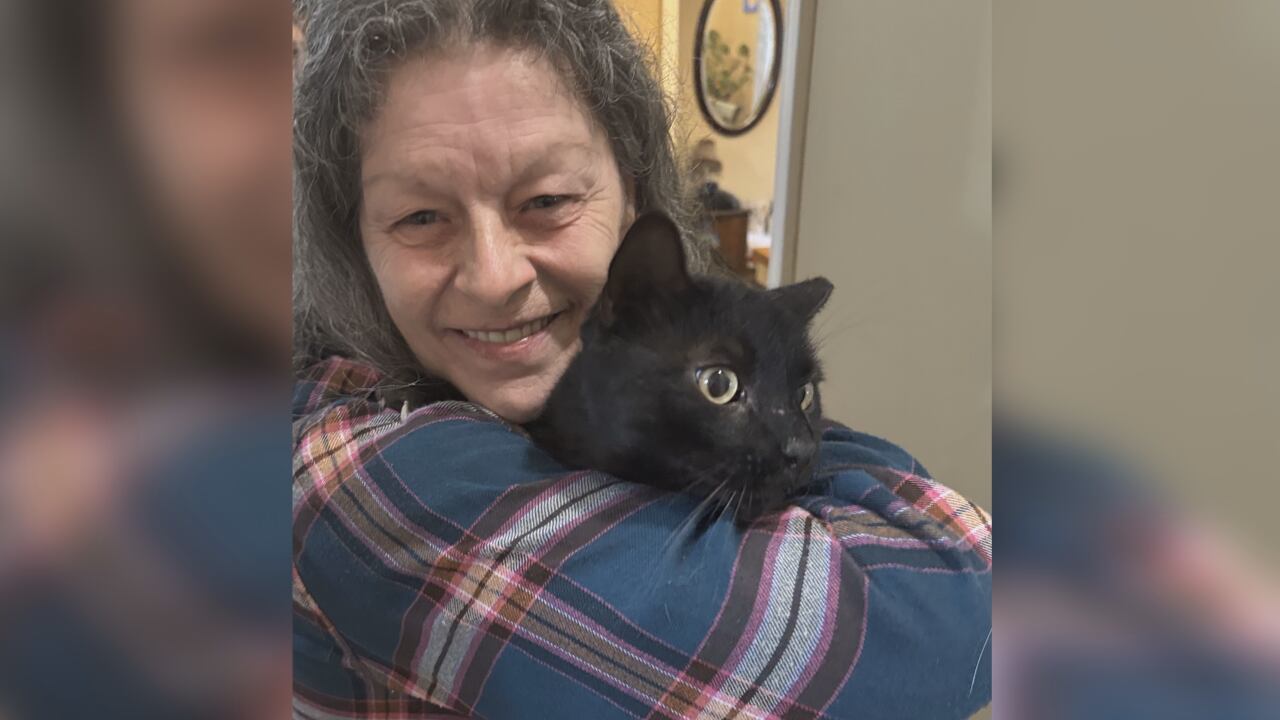 Lost cat reunited with owner after two years thanks to microchip