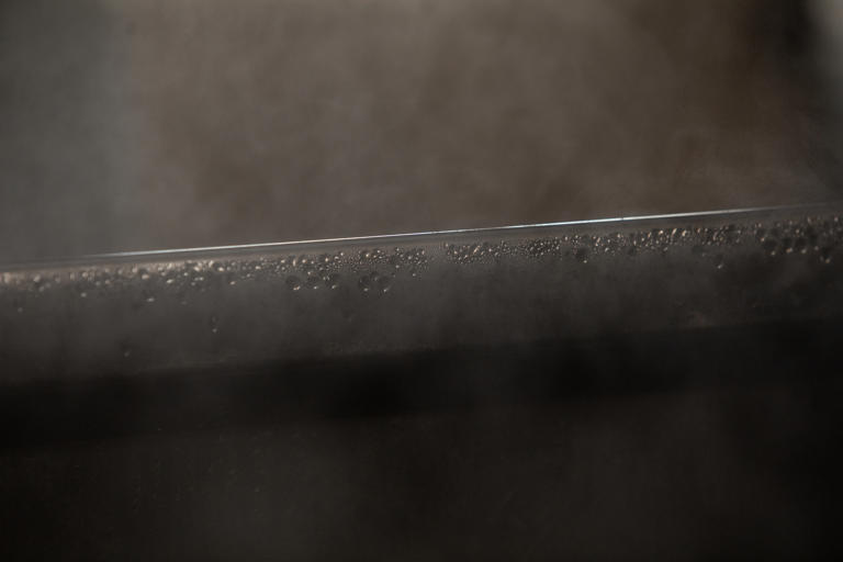 A hidden threat to maple syrup — and the people who make it