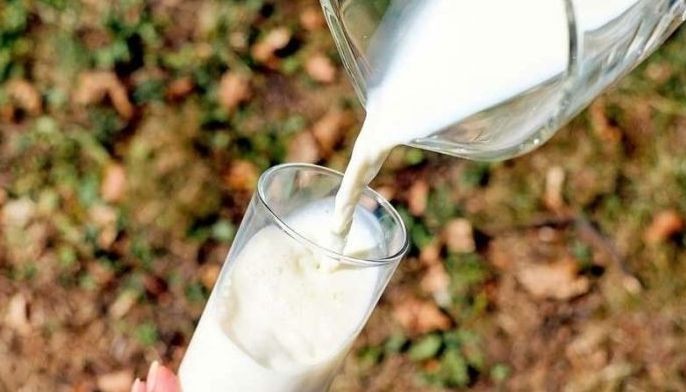 Why milk choices matter: Silent sugar problem affecting Filipino kids today