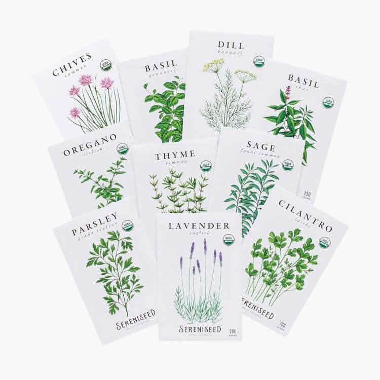 Organic Herb Seed Pack