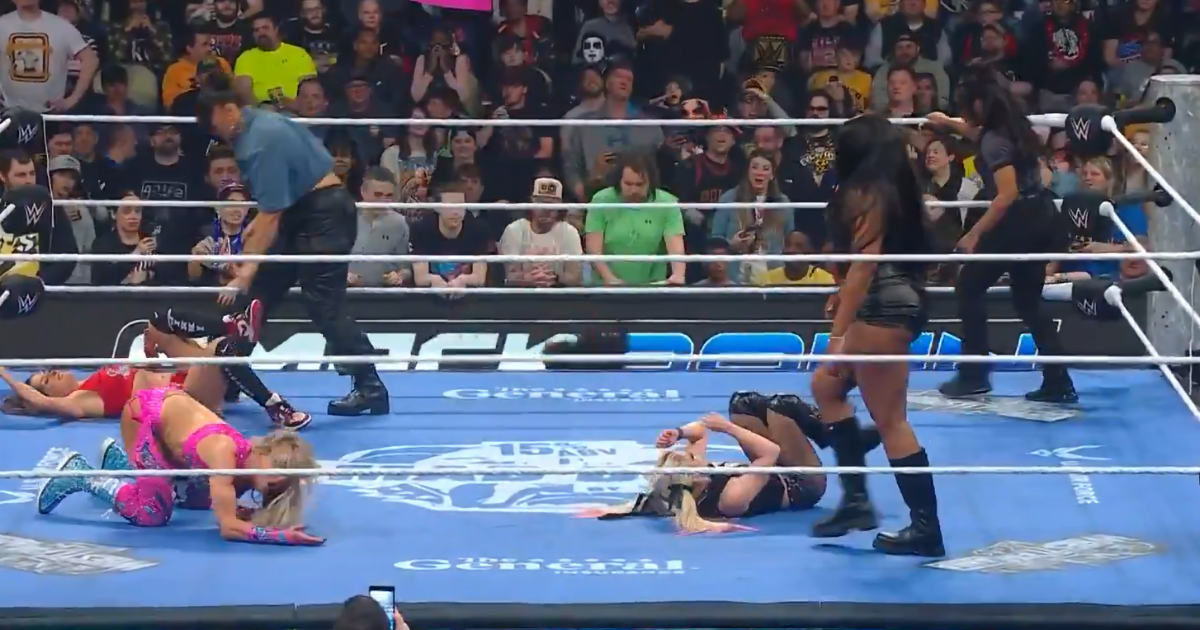 WWE provides Nikki Bella health update after revealing injury moment<br><br>