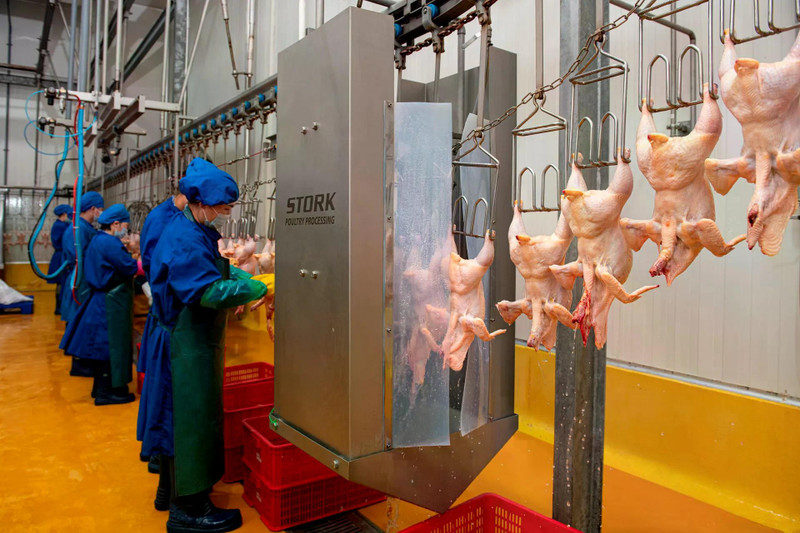 Hà Nội lên phương án xử lý 578 cơ sở giết mổ không đủ điều kiện hoạt động