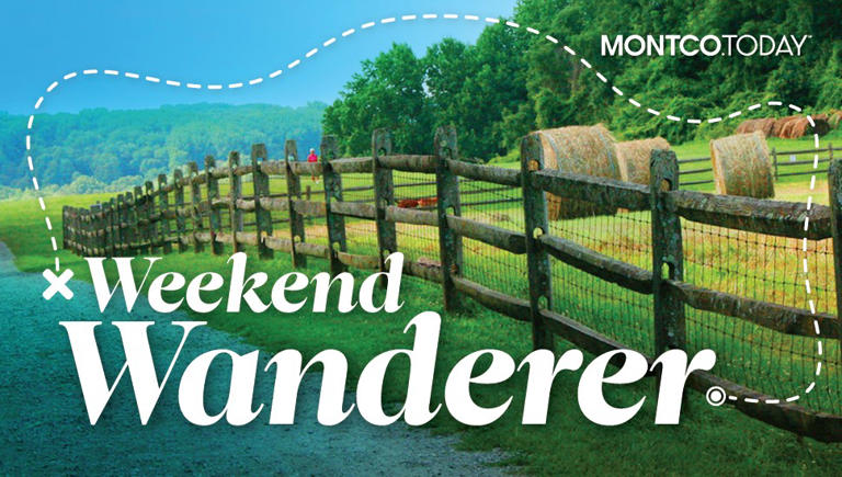 Weekend wanderer: It’s raining toilet water. Hallelujah?