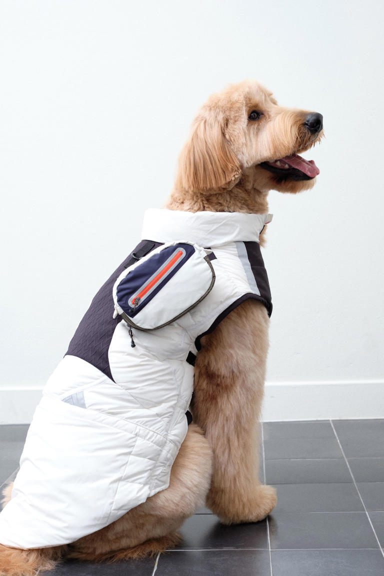 Through Racode's 'MOL Service', worn clothes are upcycled and reborn as raincoats for companion dogs. /Kolon FnC