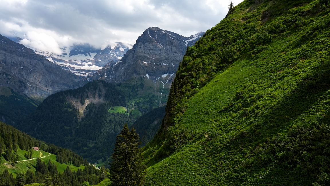 Hidden valley surrounded by tall green mountains