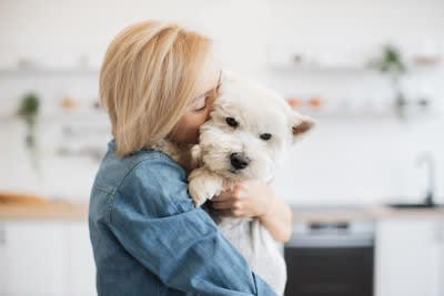 犬を『嫌な気持ち』にさせる飼い主の行動5つ 無意識にやってない？改善すべきタブー行為とは