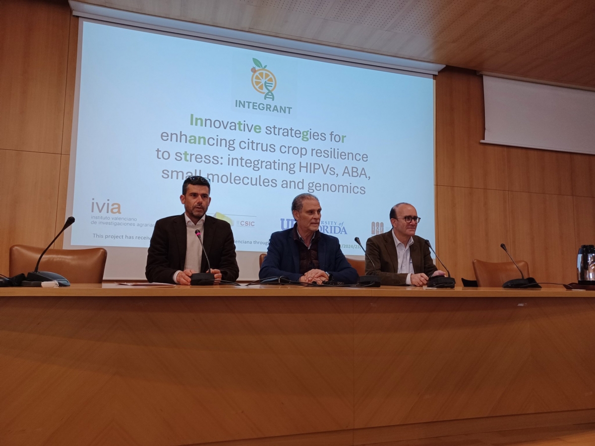El IVIA lidera un nuevo proyecto frente al HLB: cítricos resilientes ...