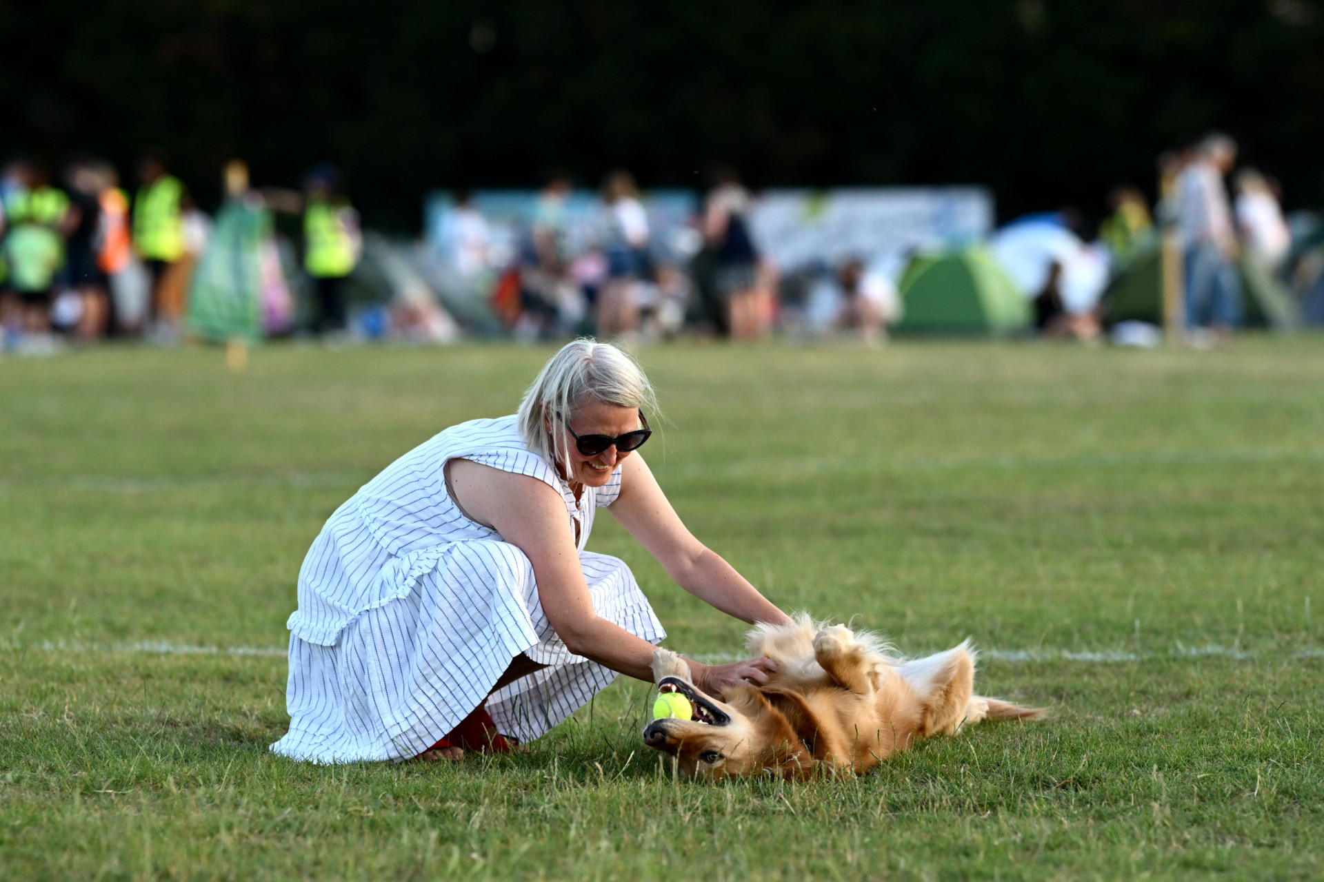 Science confirms: your brain thinks your dog is a baby