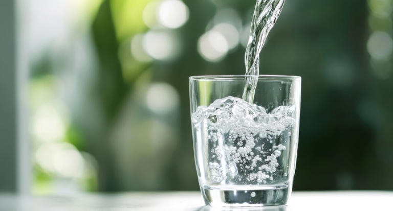 Which country has the highest water quality in the world?