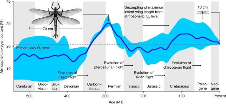 Why don't giant prehistoric insects still exist?