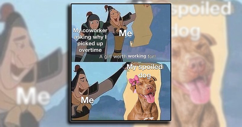 21 heartwarming dog memes for your morning cup of pawsitivity (March 28 ...