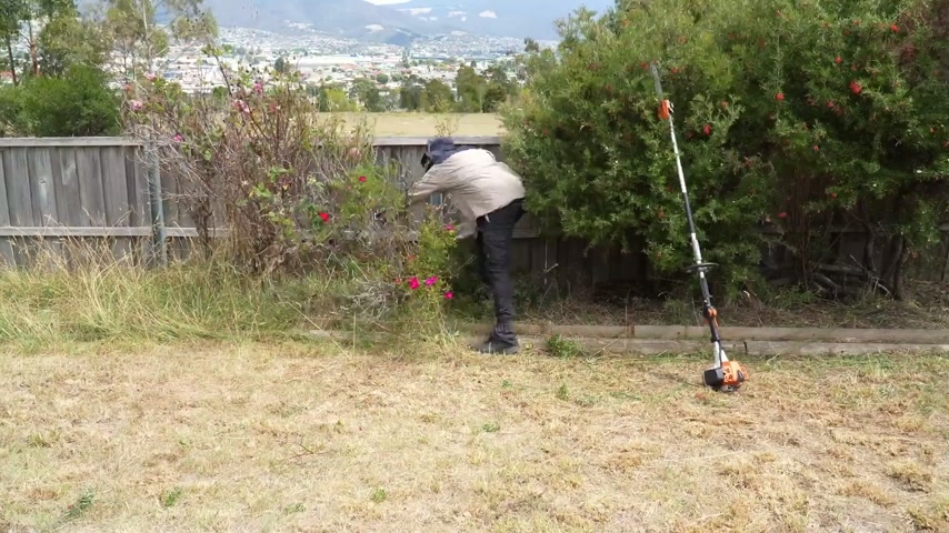 Watch me rescue this overgrown jungle!