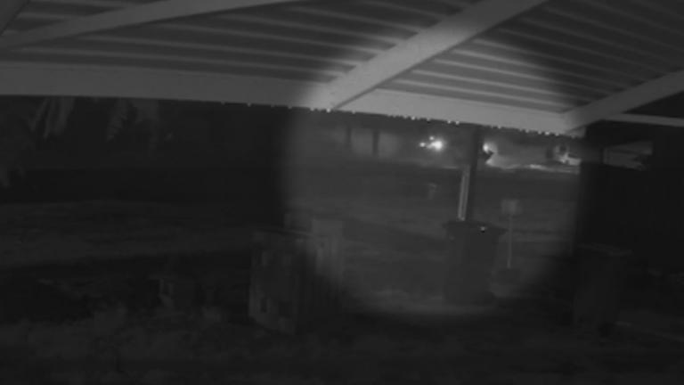 Neighbours have told 9News several people rushed to help the woman who got out of the car with the baby, witnesses giving the infant CPR.