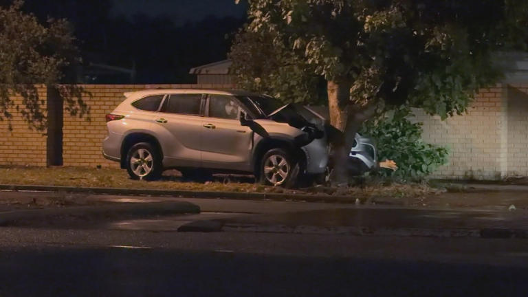 A silver Toyota Kluger was travelling along Nicholson Road in Lynwood around 3.40am when it veered off the road and hit a tree, police said.