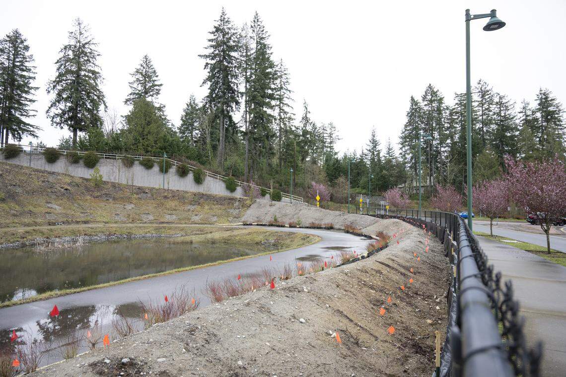 'Scab of Gig Harbor' to get hundreds of trees, shrubs in beautification ...