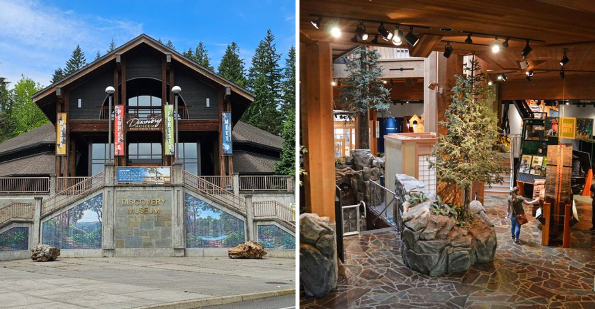 Tucked away in an Oregon forest sits a museum so beautiful it’s a ...