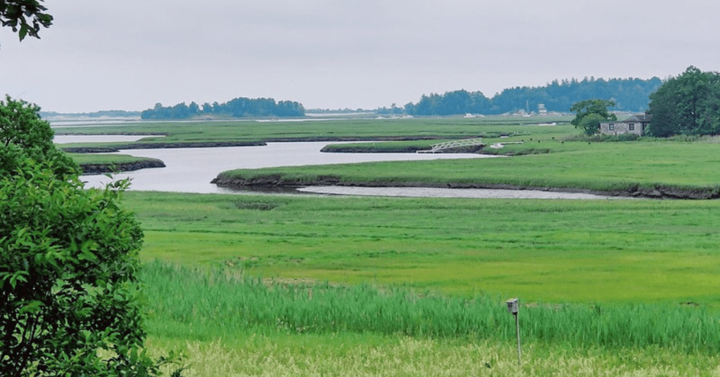 A scenic view of the grassy marsh and water in Essex, Massachusetts.