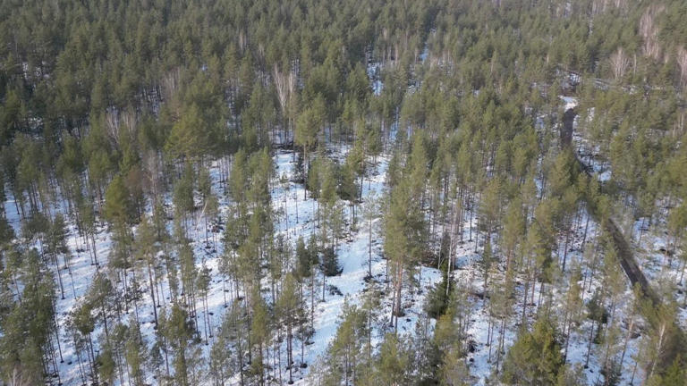 A Grande Planície Europeia foi atravessada por muitos exércitos