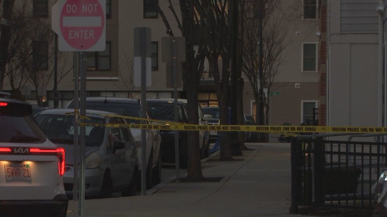 Woman arrested in connection to South Boston stabbing