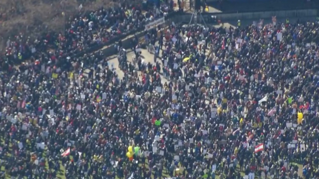 Thousands gather for No Kings protest in Chicago's Grant Park
