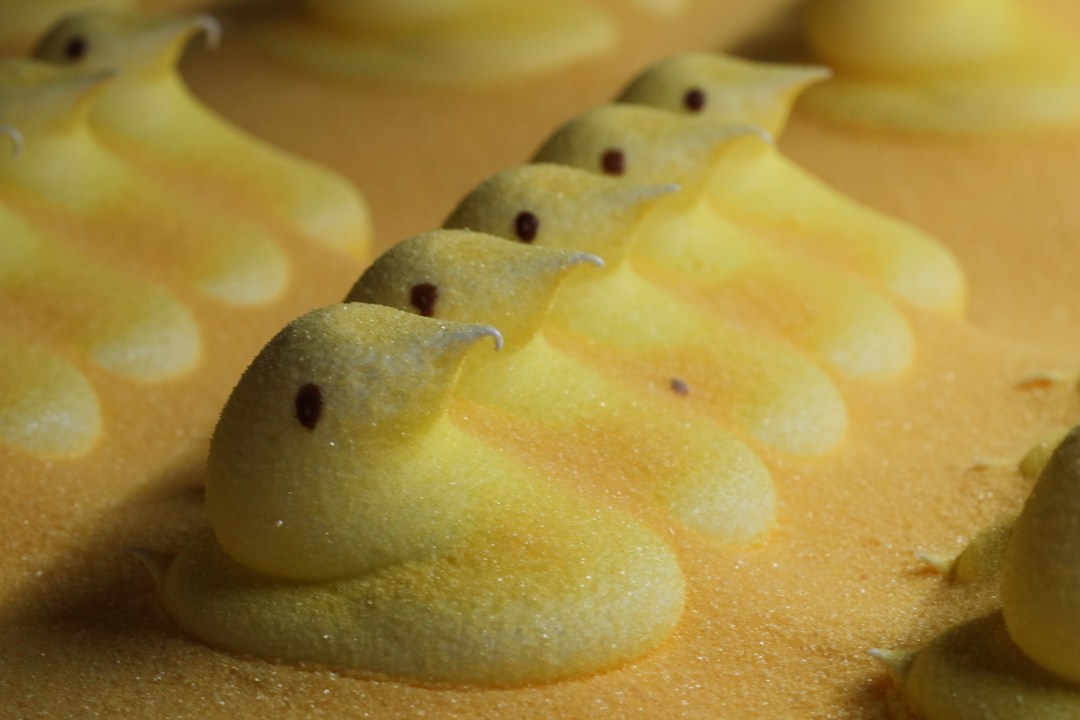 Is this how you eat Peeps?