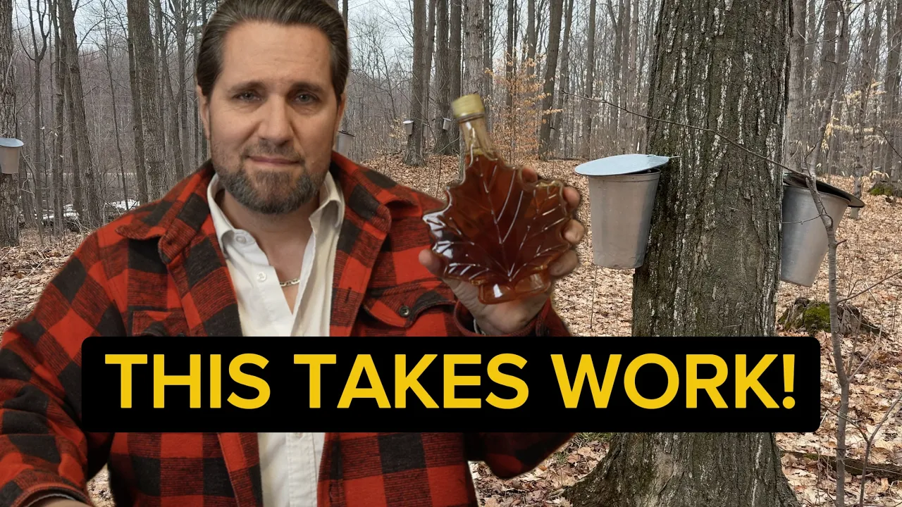 Why maple syrup is so expensive (inside Canada’s liquid gold)