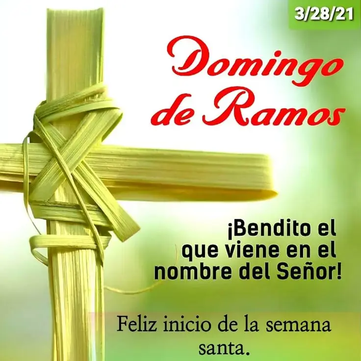 Semana Santa 2026; frases hermosas para el Domingo de Ramos