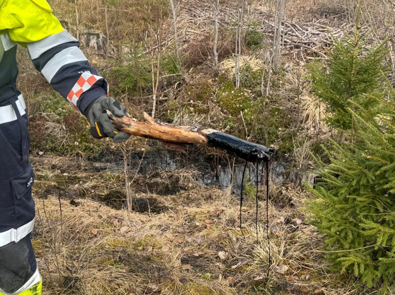 Vitnet gjemte seg og ringte politiet – flere tusen liter olje dumpet i skogen