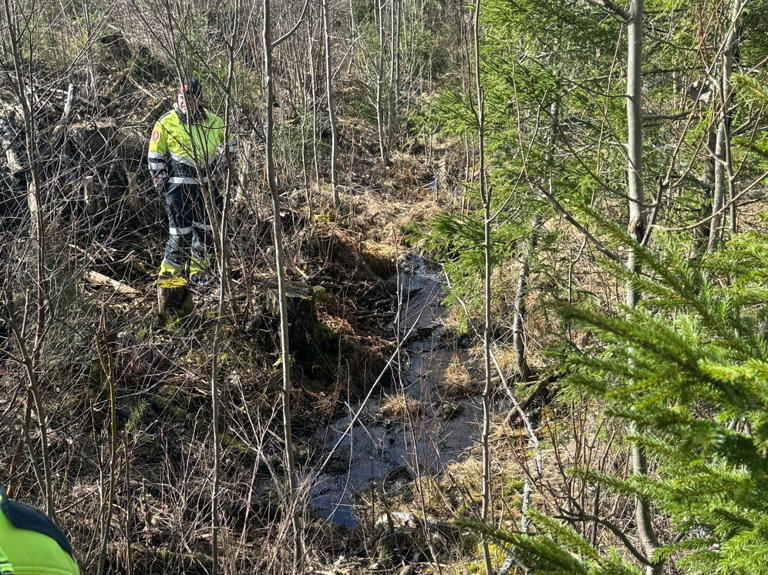 Vitnet gjemte seg og ringte politiet – flere tusen liter olje dumpet i skogen