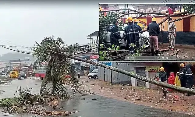 Heavy rain and strong winds disrupt life in Mudigere; tree falls on car