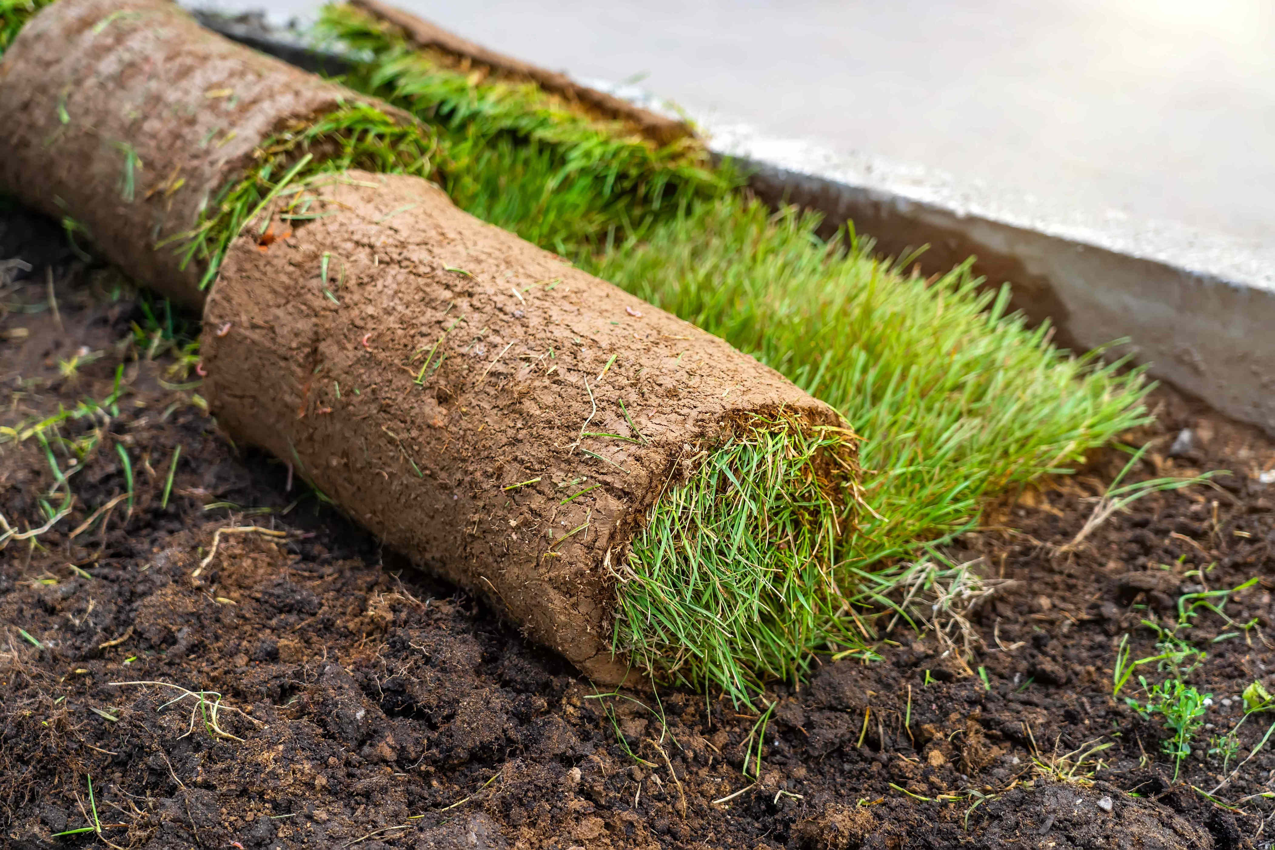 How to remove sod without the hassle—experts share their go-to method