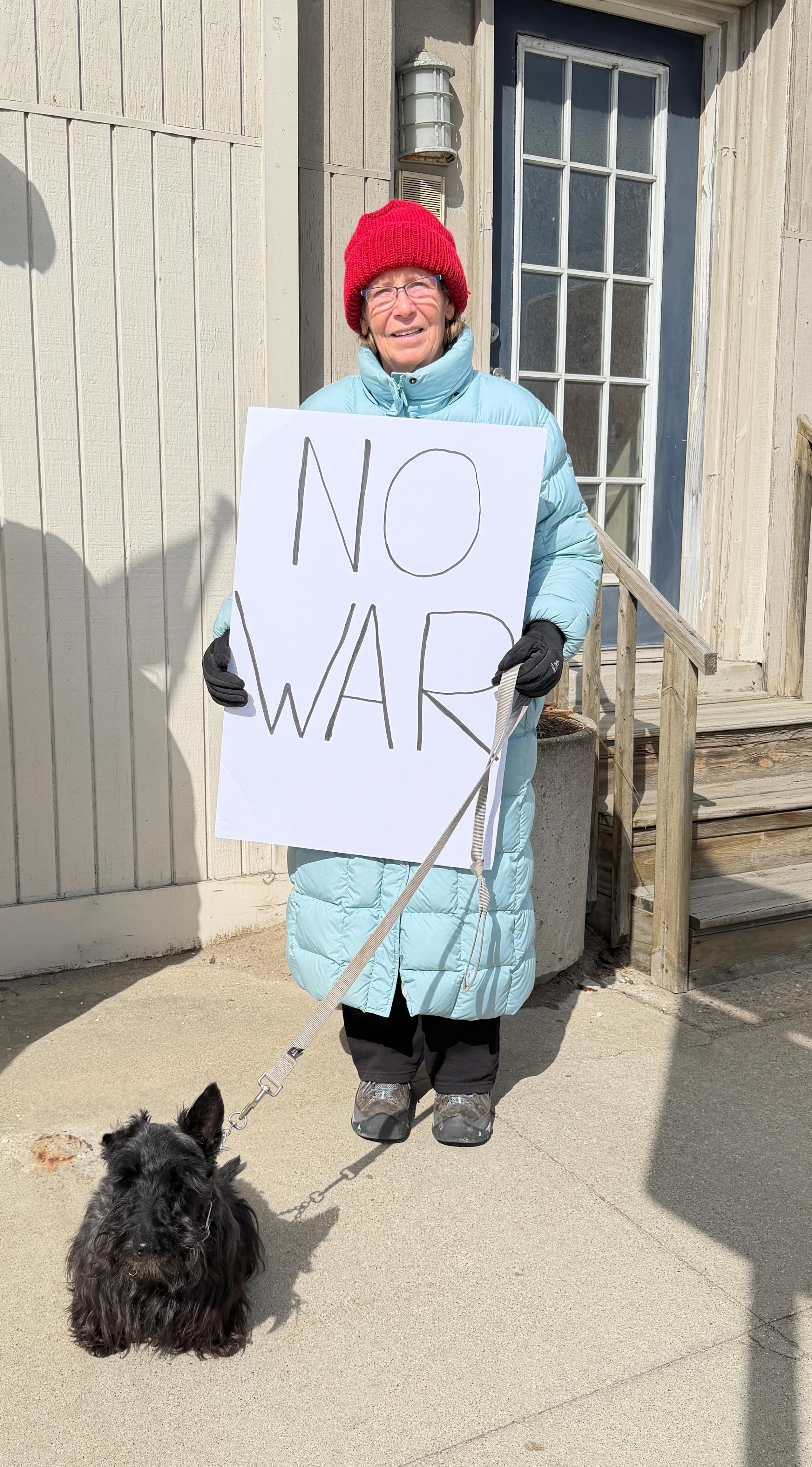 No Kings protest in Lexington draws small crowd despite cold