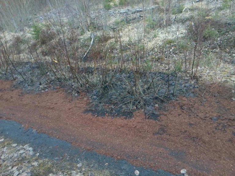 Vitnet gjemte seg og ringte politiet – flere tusen liter olje dumpet i skogen