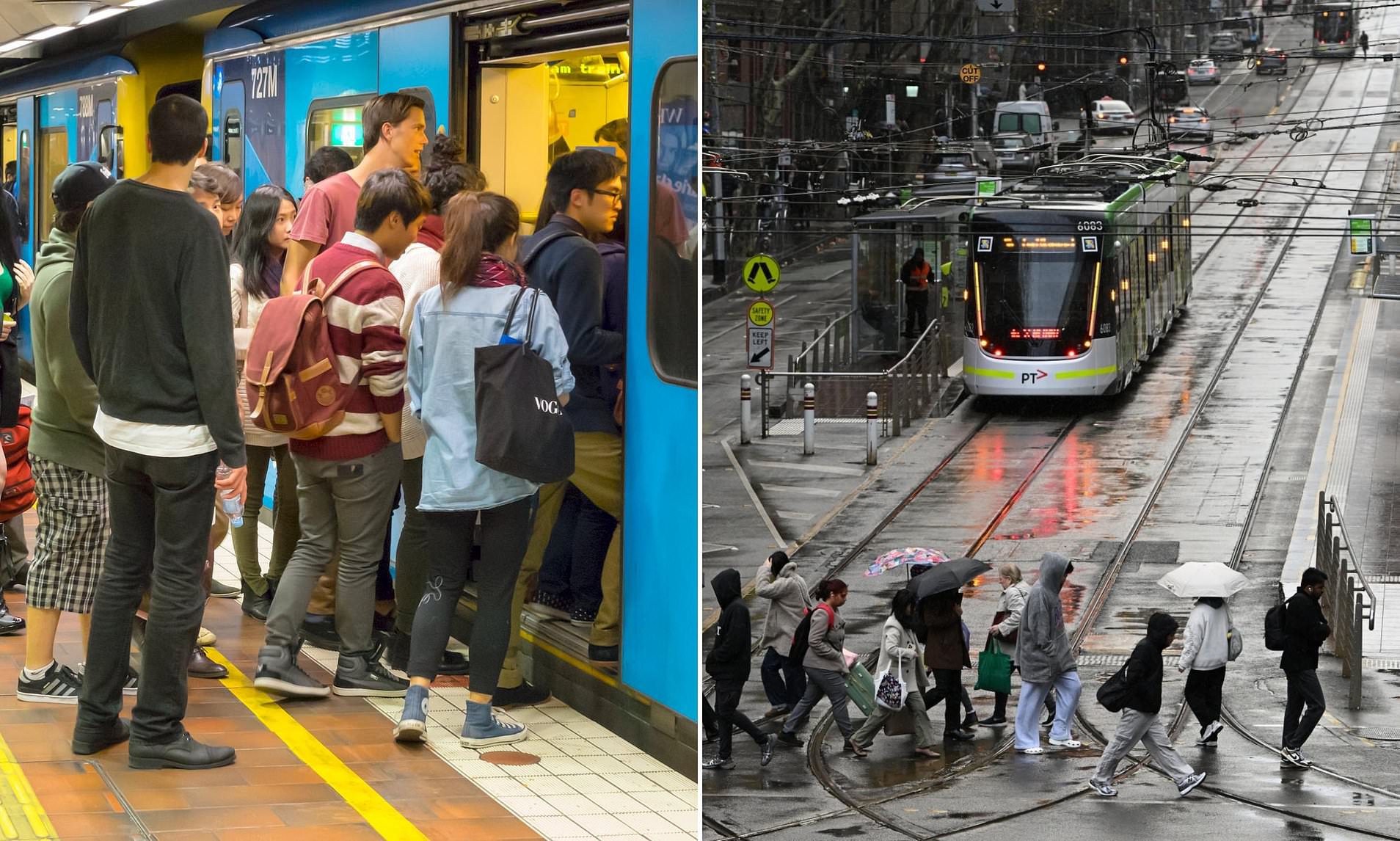 Two states unveil free public transport amid fuel crisis - but not ...