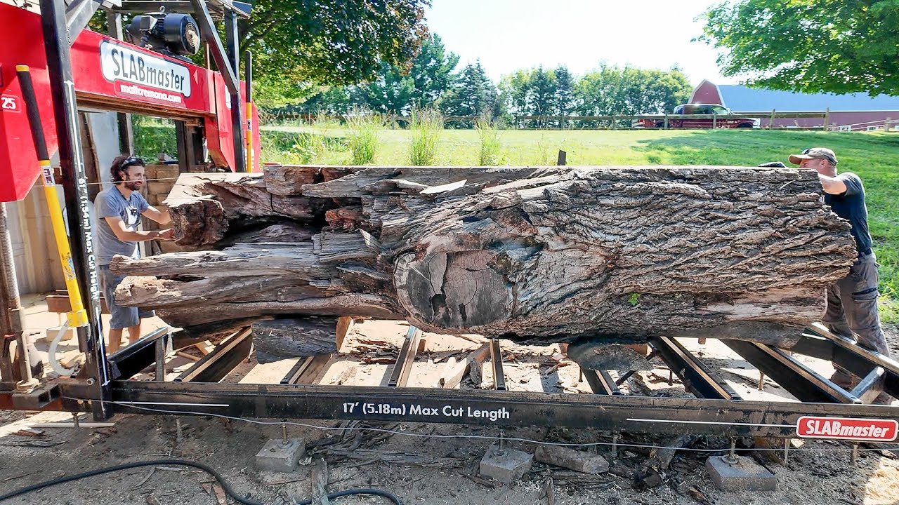 Rick's giant walnut sawing surprise