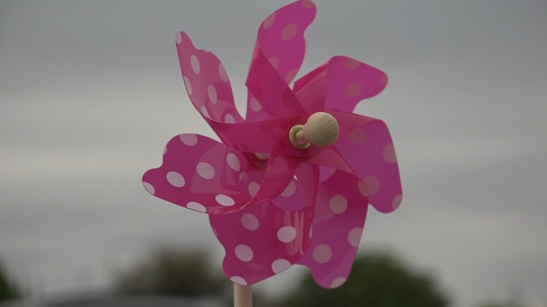 Pinwheels placed at United Supermarkets for Child Abuse Prevention Month