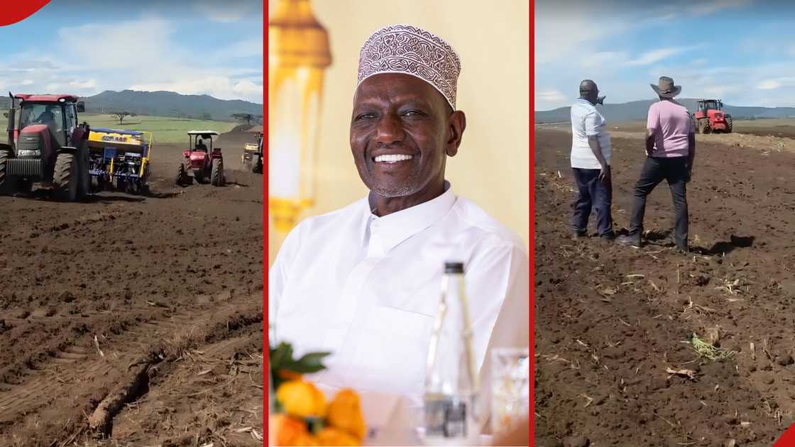 William Ruto shows off his expansive farm where he uses high-tech machinery