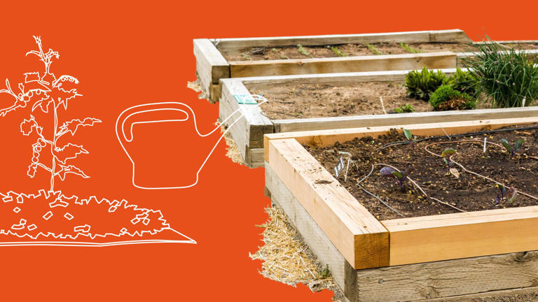 No-dig-gardening: So funktioniert das Gärtnern ohne Umgraben