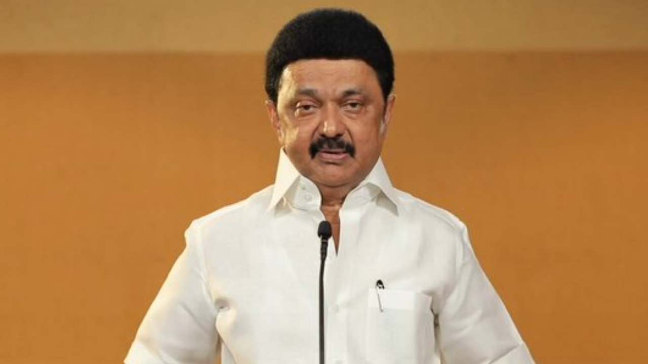 Tamil Nadu polls: DMK releases list of 164 candidates, fields more than ...