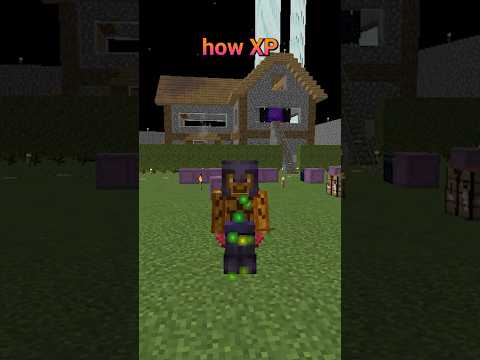 Minecraft XP crash course! #tutorial #education #minecraft