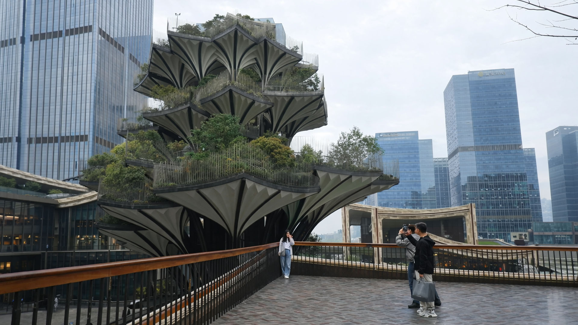 Visitors explore a multi-level tree design inside China