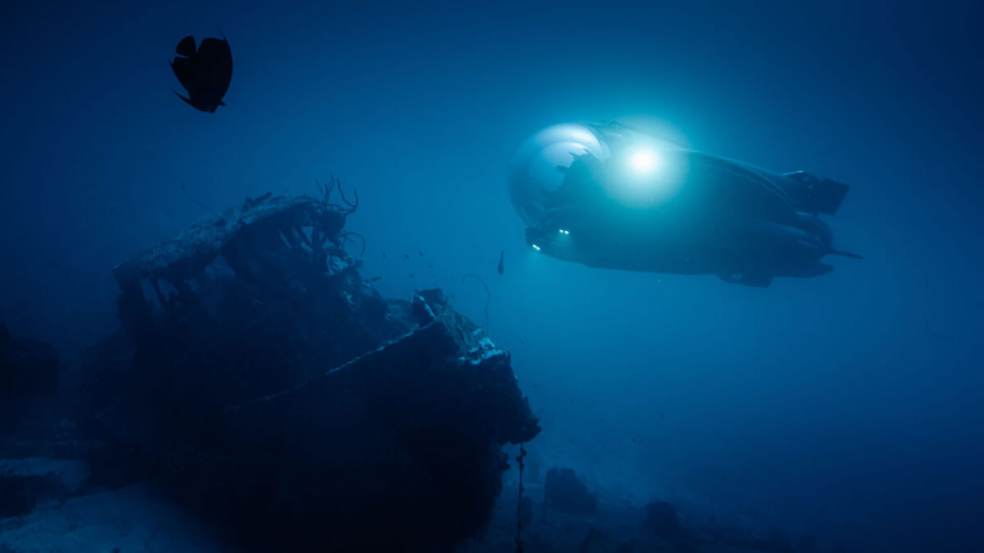 World’s fastest private ‘underwater supercar’: Dutch firm launches mini ...