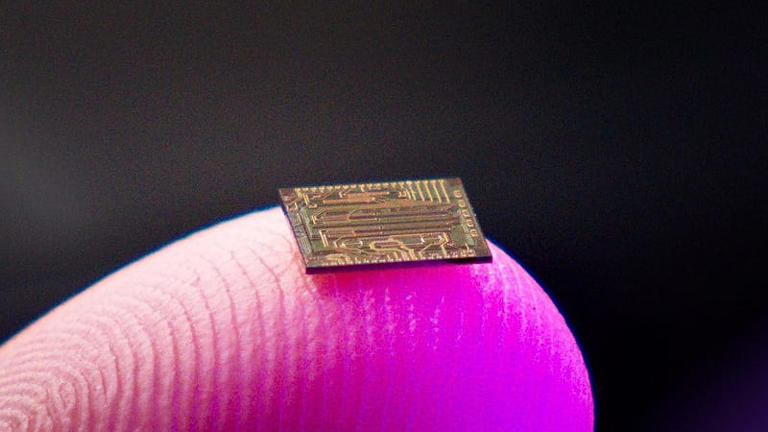 Elegantes Chip Gegen Lufigkeit Hndinnen Bilder