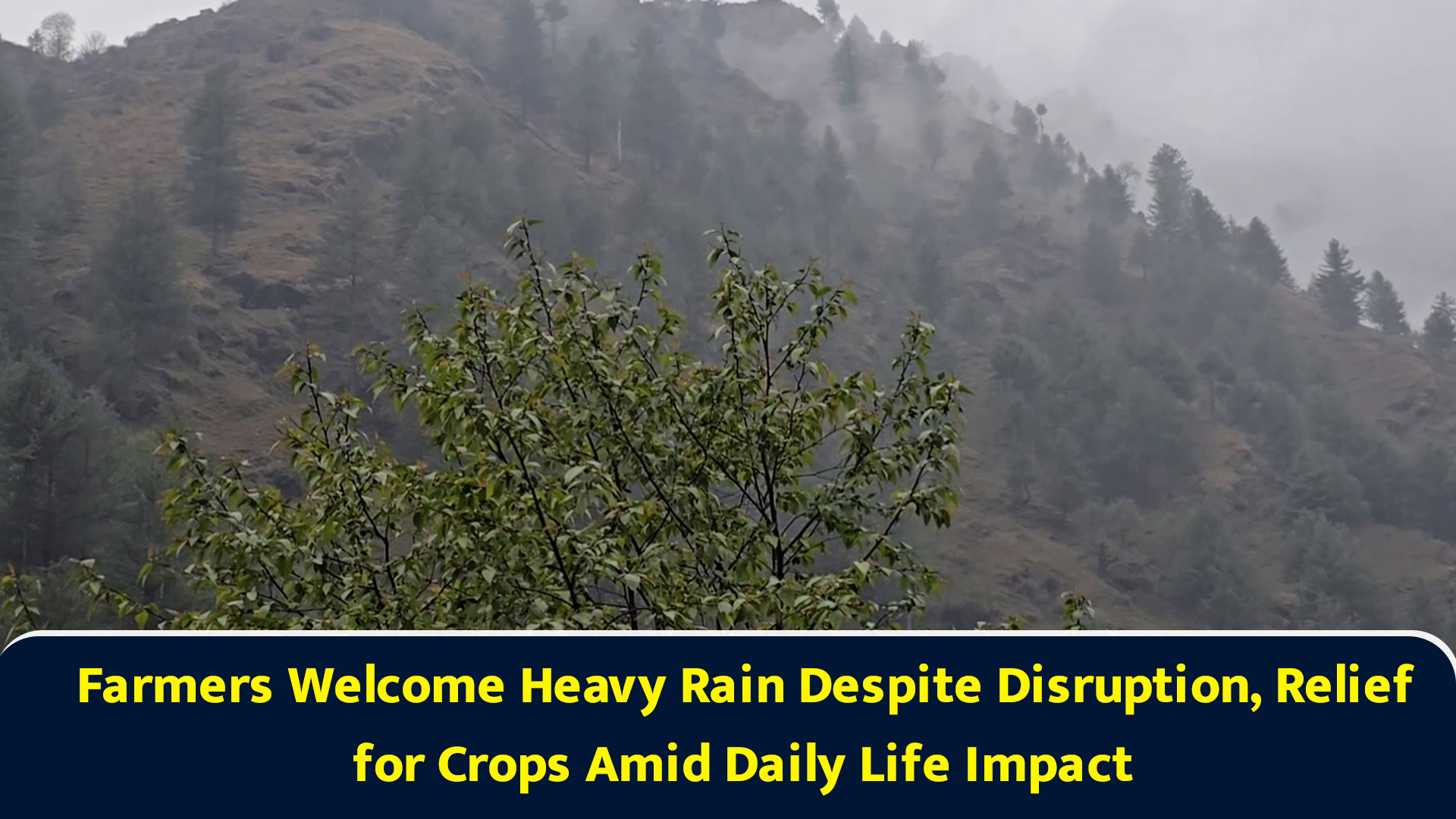 Farmers welcome heavy rain despite disruption, relief for crops amid ...