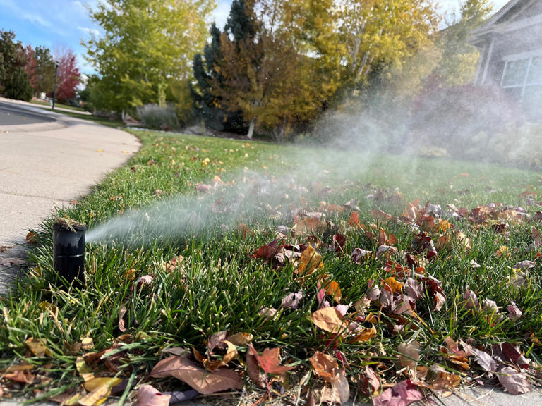 When should you turn on lawn sprinkler systems in Colorado this year?